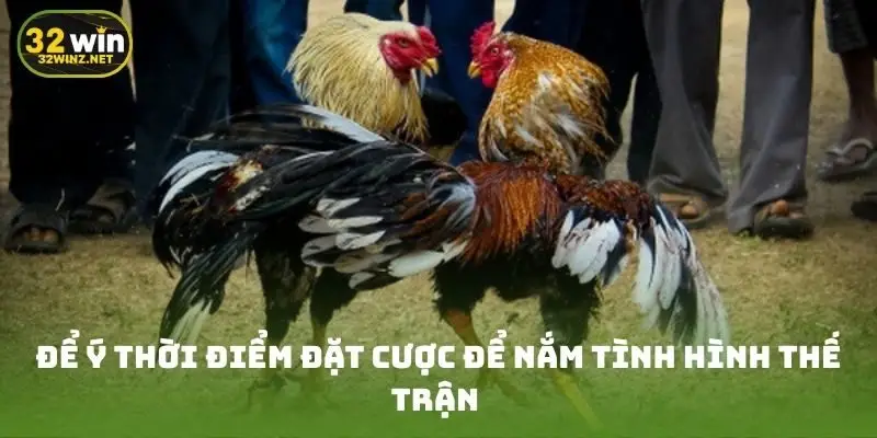 Để ý thời điểm đặt cược để nắm tình hình thế trận 