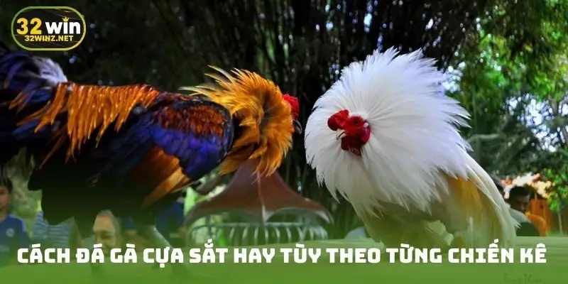 Cách đá gà cựa sắt hay tùy theo từng chiến kê 